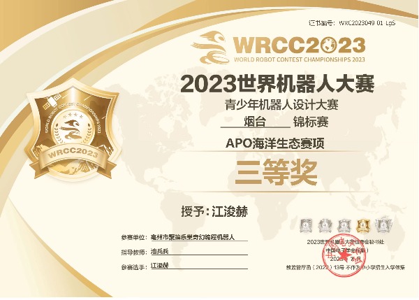 锦标赛获奖——三等奖 