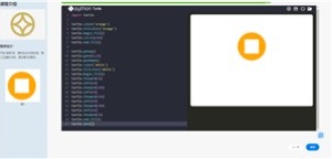 学生作品—设计程序：图案制作